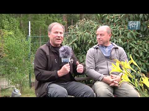 Streit um Gartenanlage in Seifersdorf FRM Regionalfernsehen