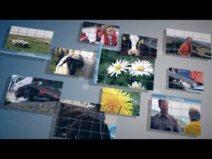 Regionalmagazin 1262 – vom 12. Mai 2025
