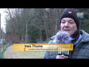 Achtung Amphibienwanderung!